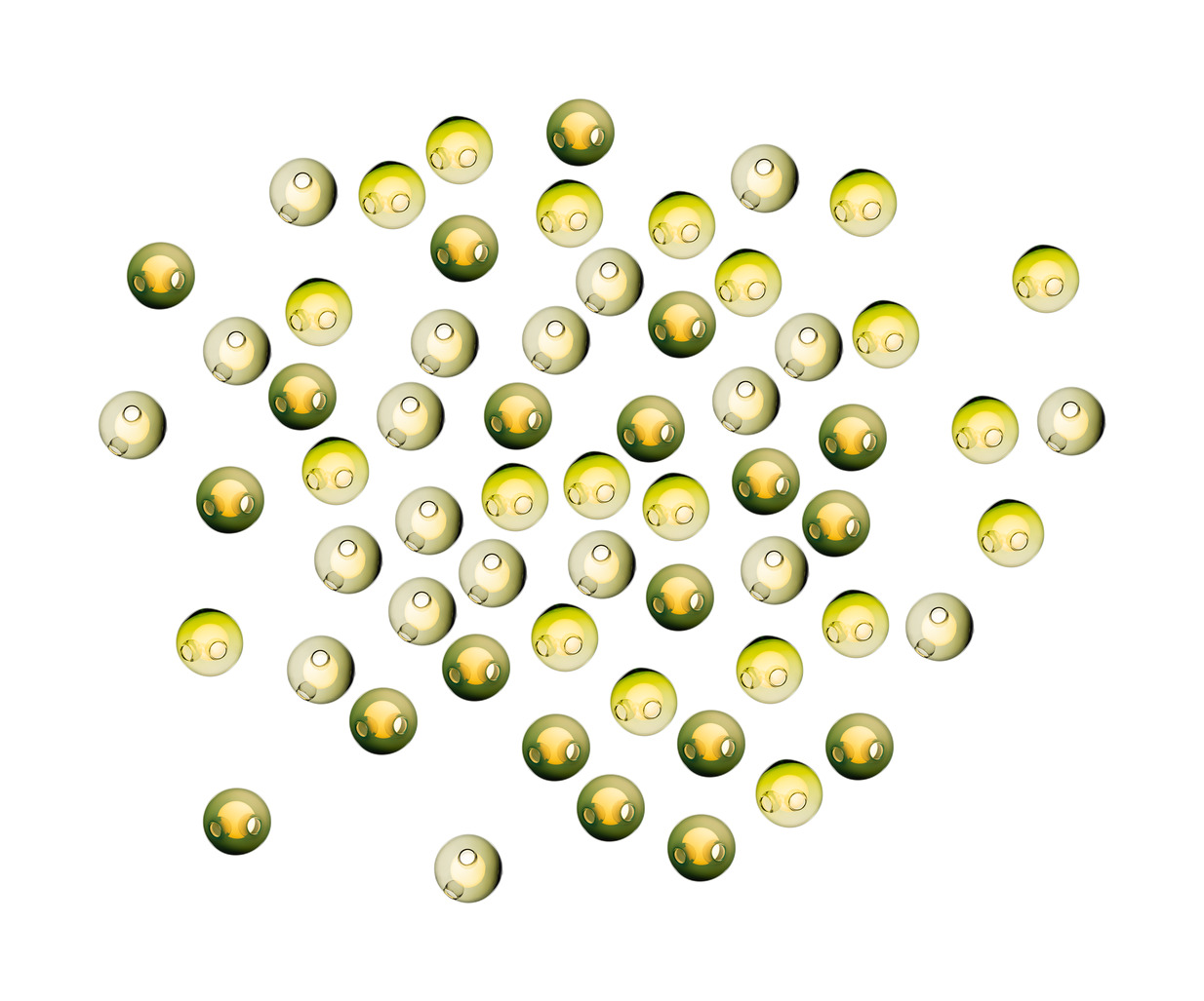 bb2e2