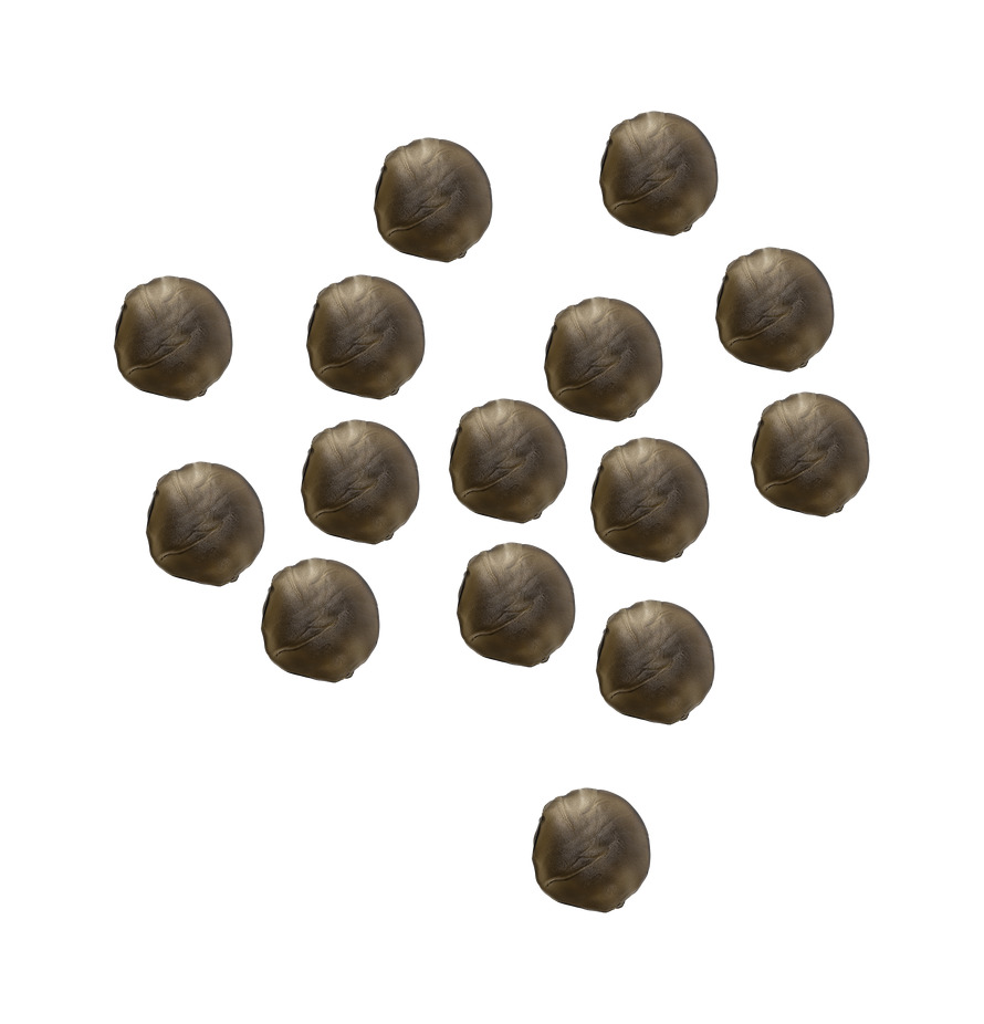 Grey 3